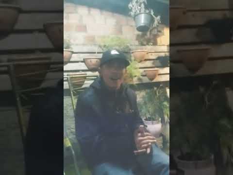 MC Guiiziin da VF medley 2019 já tá na brisa