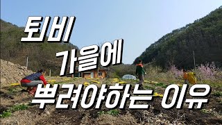 퇴비를 가을에 뿌려야하는 이유 + 퇴비 석회 같이뿌리면 안되는 이유