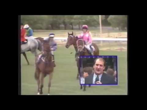 1991 VRC Melbourne Cup HURDLE