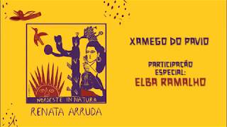 Xamego do Pavio Music Video