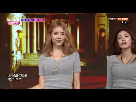 Stellar   Sting Show Champion 2016 02 174sashi com