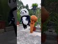 Funny Video Teddy Panda Creative Whatsapp Status Video Shorts