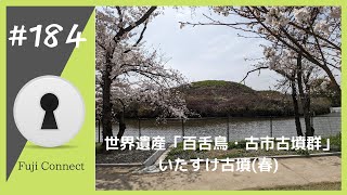 #184 大阪府堺市　いたすけ古墳
