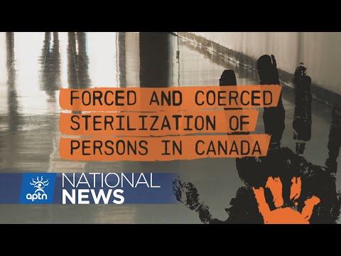Witnesses tell senate human rights committee about forced sterilization at hearing | APTN News