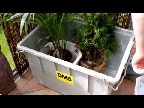 Umzug mit der DMS Deutsche Möbelspedition