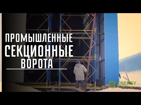 Отызв от ТОО "Арвис"