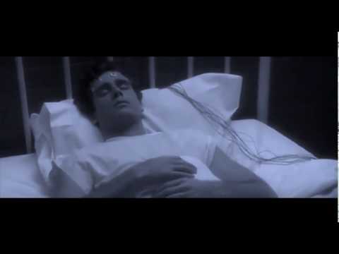 I Santo California - Un angelo (with Italian and English Lyrics ♫♫)