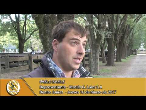 Nota Pablo Basile - Martín G. Lalor S.A - B. Juárez