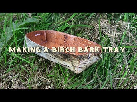 How to Make A Birch Bark Container