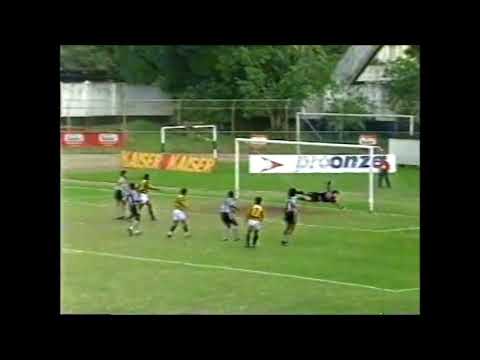 Botafogo 2 x 1 Volta Redonda - Campeonato Carioca 1993
