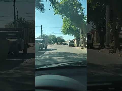 Los Piojos en la calle - Las Heras - Mendoza - Argentina - 2026