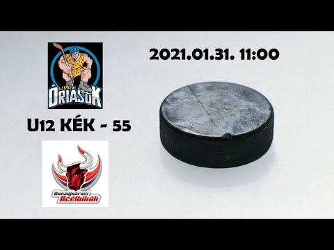U12 KÉK Óriások Jégkorong SE - Dunaújvárosi Acélbikák