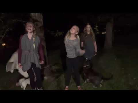 Lost in the woods-Frozen 2 in real life