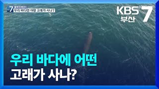 [KBS부산] 풀뿌리 해양K