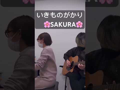 音楽学科 【初見セッション】いきものがかり『SAKURA』【ピアノとギター】
