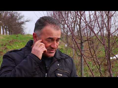 Reč struke ep. 150 01.02.2018. - Rezidba voćnjaka