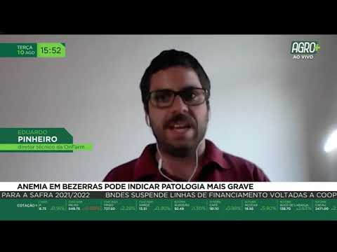 , title : 'Anemia em bezerras pode indicar patologia mais grave'