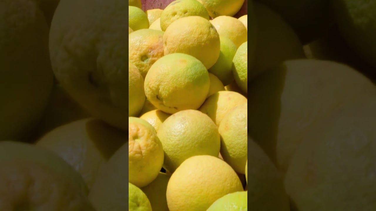 Dalsan Farm #fruitful