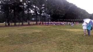 preview picture of video 'Tyler Pack - Cartersville Cross Country Meet'