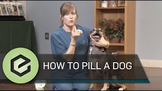 How to Pill a Dog