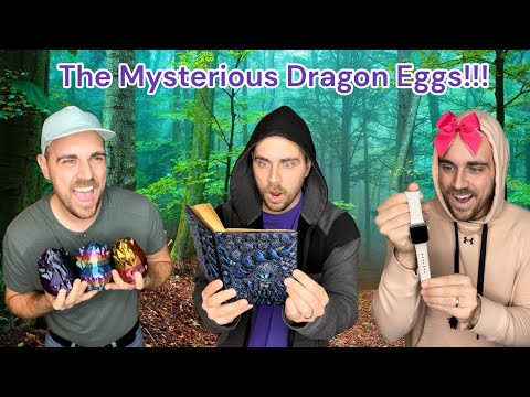 The Mysterious Dragon Eggs!!! || Mark Ryan
