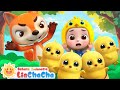 Anak Ayam Di Peternakan Lagu Hewan Lucu Lagu Ayam Lagu Anak LiaChaCha Bahasa Indonesia