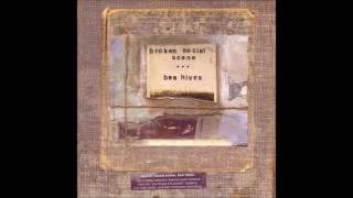 Broken Social Scene - Ambulance for the Ambience