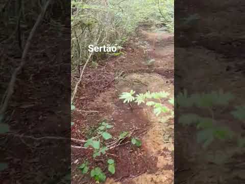 boninal bahia #nordeste