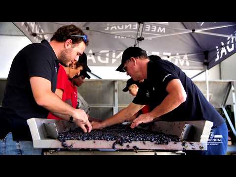 Video 4 Meerendal Moments Wine Academy Overview