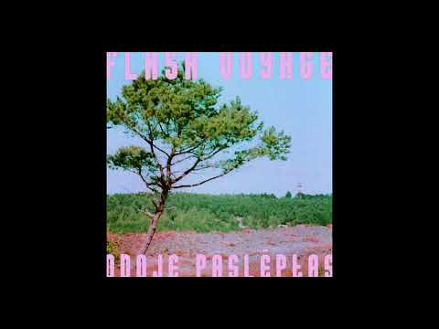 Flash Voyage ~ Odoje Paslėptas