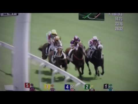 THE PREMIER PLATE ($386,657) 2017 - HORSE OF FORTUNE !!!