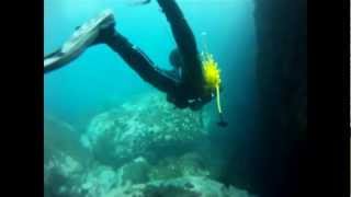 preview picture of video 'Immersione a grotta del Pandora - Maiori (SA) Costiera Amalfitana'