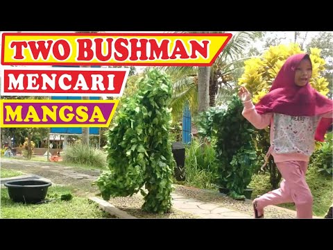 sanggaluri-park-bushman-prank-prank-manusia-pohon