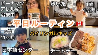 【平日ルーティン】1歳1ヶ月と2歳11ヶ月/日本センター/バイリンガルキッズ/チートデー/子育て/カナダ