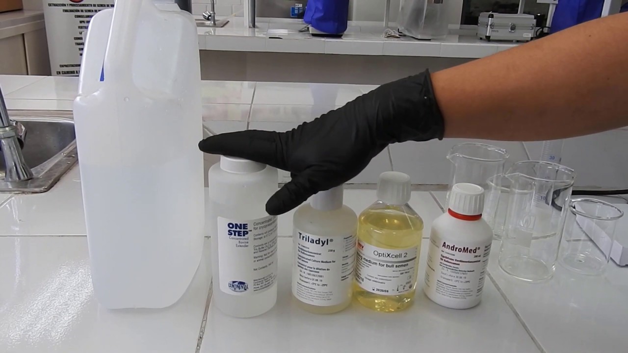 PROCESAMIENTO Y CONGELACIÓN DE SEMEN PRIMERA PARTE