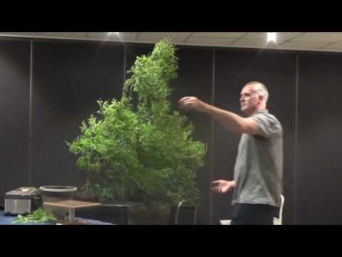 Andrew Edge Swamp Cyprus Demonstration 22 Nov 2020