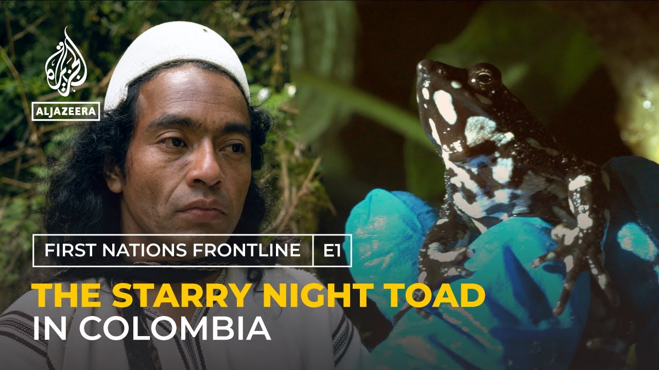 Colombia Starry Night Toad