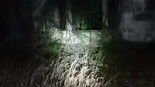 Download lagu BUNGALOW FARAH 一点红 mp3