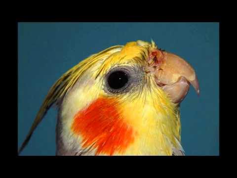 Audio Bullys - Shot You Down ft. Nancy Sinatra meets eD's Photography