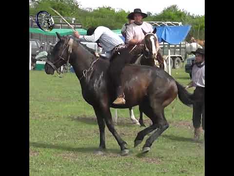 Rueda en Clina LO CUERPEA en Campo El Matrero en Macia Entre Rios