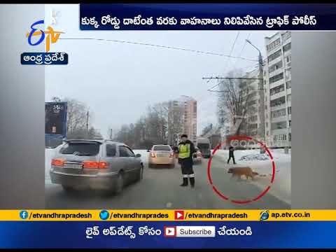 Russian Police Officers Stops Traffic | Helps Injured dog Cross the Road