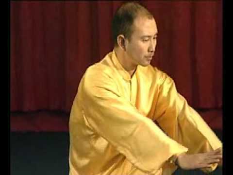 Lungen Qigong mit Dr. Xiaoqiu LI