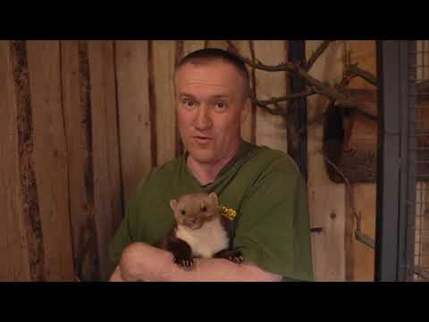 Zachraňte Zvířátkov