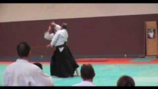 preview picture of video 'Aikido Ascap POISSY : Stage B Palmier 17 10 09'