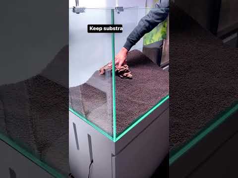 3 Tips for a PROFESSIONAL Aquascape #shorts