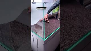 Download lagu 3 Tips for a PROFESSIONAL Aquascape #shorts mp3 Download lagu 3 Tips for a PROFESSIONAL Aquascape #shorts mp3