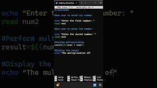 Linux Bash Script Basics Shell Scripting #linux #bash #coding