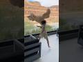 Son tells mom that his stuffed animal comes to life so he does this… #shorts #haunted #scary  - The Beverly Halls Son tells mom that his stuffed animal comes to life so he does this… #shorts #haunted #scary 