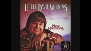 Georgia Keeps Pulling on My Ring Little David Wilkins