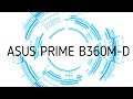 Материнская плата ASUS PRIME B360M-D - відео